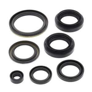 Ostatnia szansa WINDEROSA (VERTEX) KOMPLET (ZESTAW) USZCZELNIACZY SILNIKOWYCH ARCTIC CAT 400 4X4 W/AT 03-04, 400 FIS 4X4 W/AT 03-05, LT-A400F 4