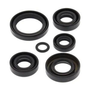 Autentyczny WINDEROSA (VERTEX) KOMPLET (ZESTAW) USZCZELNIACZY SILNIKOWYCH KAWASAKI KLF300A BAYOU 86-87, KLF300B BAYOU 88-05, KLF300C BAYOU