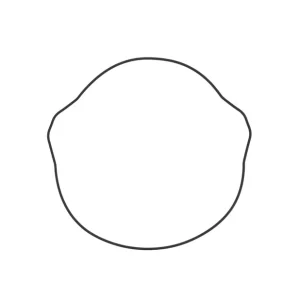 WINDEROSA (VERTEX) USZCZELKA POKRYWY SPRZĘGŁA HONDA XR 400R 96-04, TRX 400EX '99-13 (ORING) (ZEWNĘTRZNA) Premium