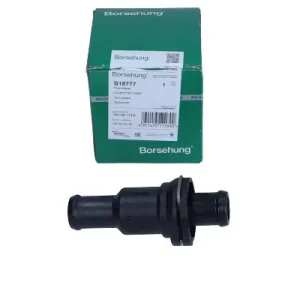 Wysoka jakość Termostat BORSEHUNG B18777
