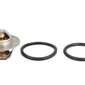 Ekspresowa dostawa Termostat CALORSTAT BY VERNET TH6045.89J