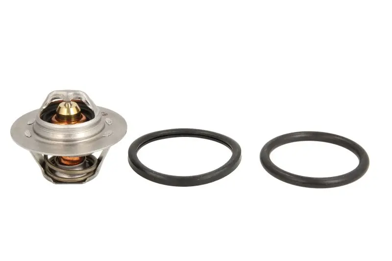 Ekspresowa dostawa Termostat CALORSTAT BY VERNET TH6045.89J