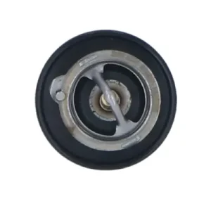 Termostat NRF 725143 Rabat