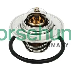 Nowość Termostat BORSEHUNG B13140