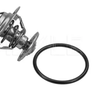 Zamów teraz Termostat MEYLE 028 271 0002