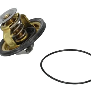 Oferta Termostat WAHLER 4174.79D