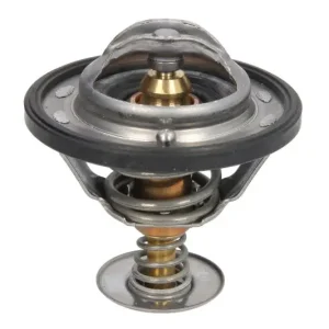 Termostat CALORSTAT BY VERNET TH5434.88J Zamów teraz