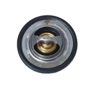 Popularny Termostat NRF 725089