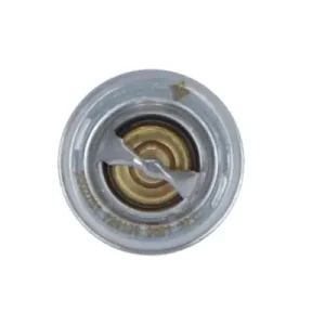 Ekspresowa dostawa Termostat NRF 725109