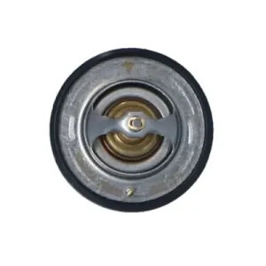 Ekspresowa dostawa Termostat NRF 725111