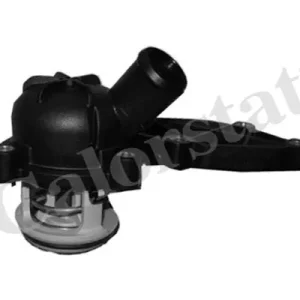 Zamów teraz Termostat CALORSTAT BY VERNET TH6989.88J