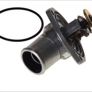 Zamów teraz Termostat WAHLER 4168.92D