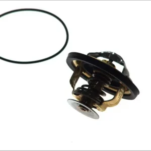 Niska cena Termostat WAHLER 4174.82D