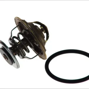 Ekspresowa dostawa Termostat WAHLER 4255.87D