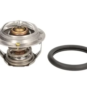 Ekspresowa dostawa Termostat MOTORAD 294-77K