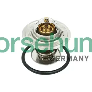 Tani Termostat BORSEHUNG B18268