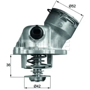 Niska cena Termostat BEHR TM 29 100D