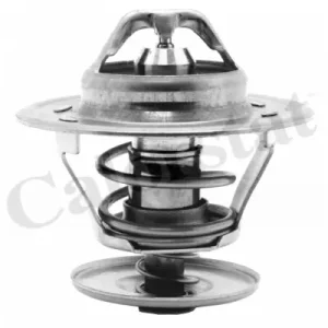 Termostat CALORSTAT BY VERNET TH1439.71J Tani