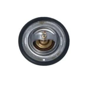 Termostat NRF 725066 Tylko dziś