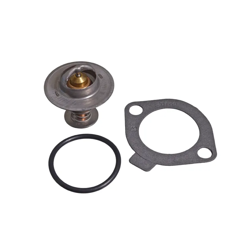 Szybka dostawa Termostat BLUE PRINT ADG09210