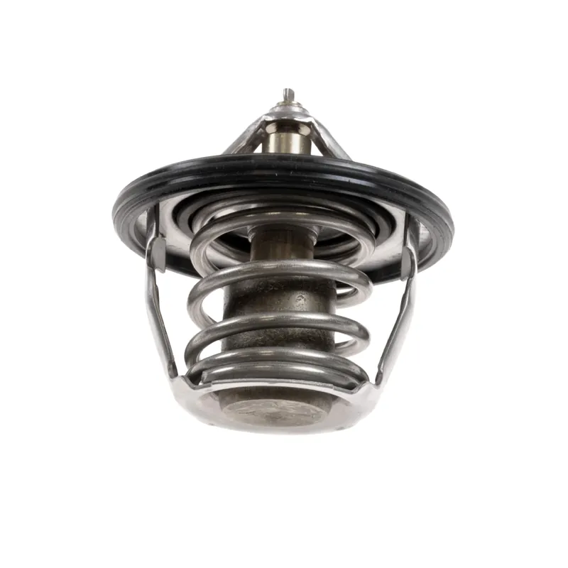 Termostat BLUE PRINT ADS79205 Najlepsza cena