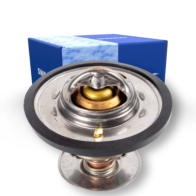 Oryginalny Termostat SWAG 55 91 4772