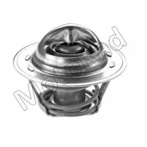 Termostat MOTORAD 202-82K Oferta