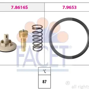 Popularny Termostat FACET 7.8616