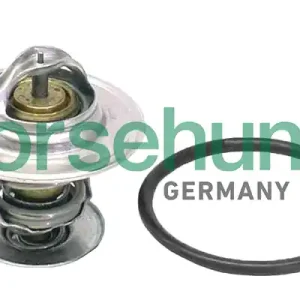 Termostat BORSEHUNG B18262 Tani