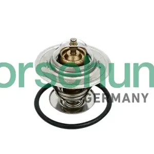 Popularny Termostat BORSEHUNG B18259