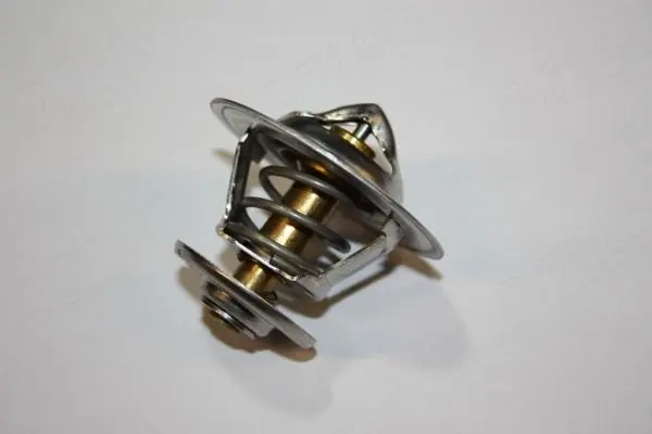 Szybka dostawa Termostat AUTOMEGA 160099910