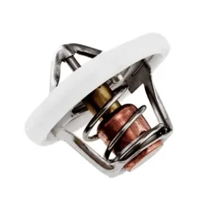 Termostat NTY CTM-CH-001 Bezpieczna płatność