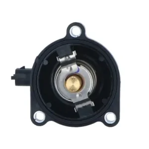Autentyczny Termostat NRF 725024
