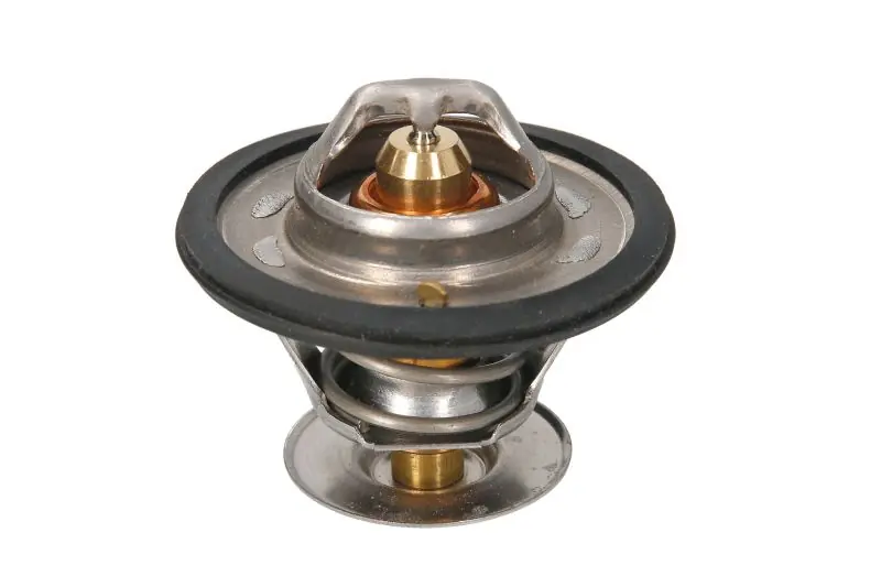 Szybka dostawa Termostat CALORSTAT BY VERNET TH4561.87J