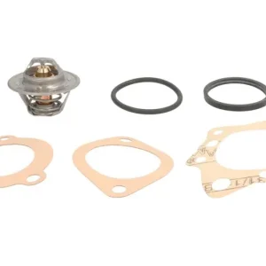 Zamów teraz Termostat CALORSTAT BY VERNET TH1290.85J