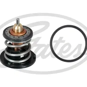 Termostat GATES TH60380G1 Zamów teraz