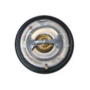 Termostat NRF 725068 Autentyczny