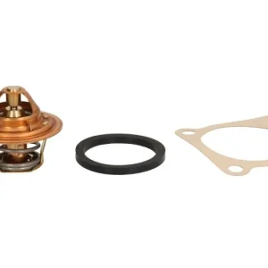 Termostat CALORSTAT BY VERNET TH3319.88J Zamów teraz