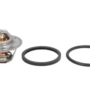 Oferta Termostat CALORSTAT BY VERNET TH6313.88J