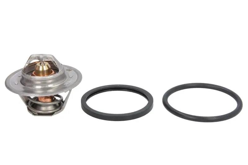 Oferta Termostat CALORSTAT BY VERNET TH6313.88J