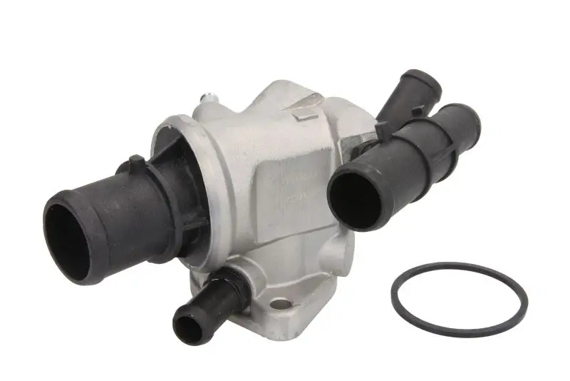 Zamów teraz Termostat CALORSTAT BY VERNET TH6869.88J