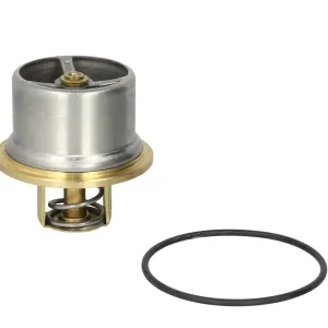 Zamów teraz Termostat WAHLER 4621.80D