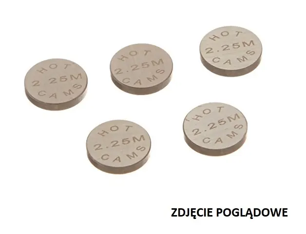 Zamów teraz HOT CAMS PŁYTKA ZAWOROWA 10,00 X 2,20MM (1 SZT.) (5PK1000220)