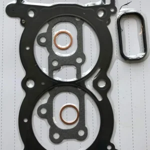 USZCZELKI NA GÓRĘ SILNIKA TOP-END POLARIS RANGER RZR 1000 13-17 810969 Oferta